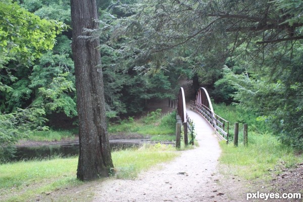 Empty Bridge