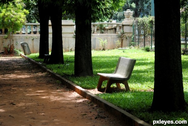 Empty Park Bench