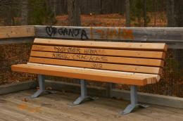 EmptyBench