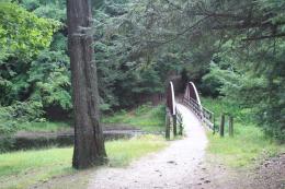 Empty Bridge