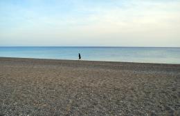 beach in the winter