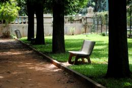 Empty Park Bench