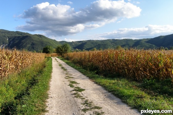 Countryside