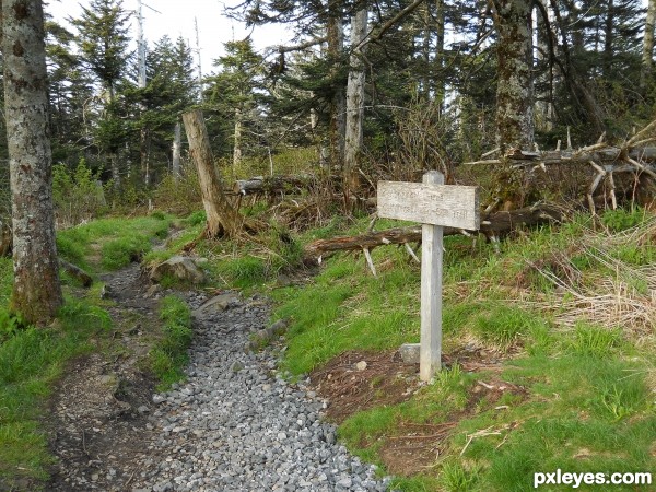 Old Mountain Trail