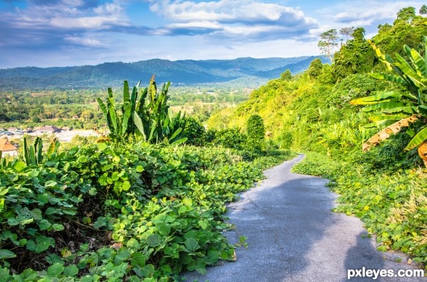 Old road path