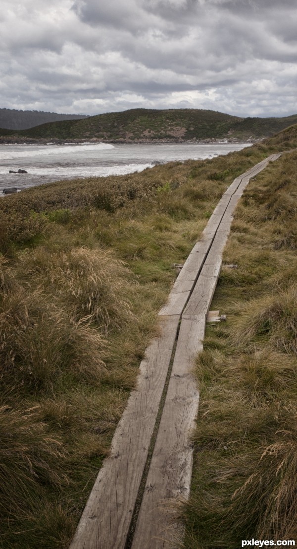 Wooden path