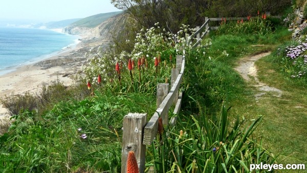 coast path