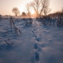 empty paths 2 photography contest