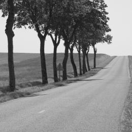 Lonesome road in switserland