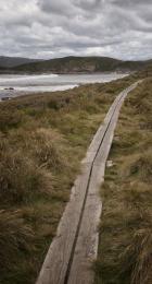 Woodenpath