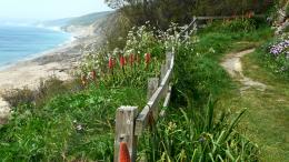 coast path