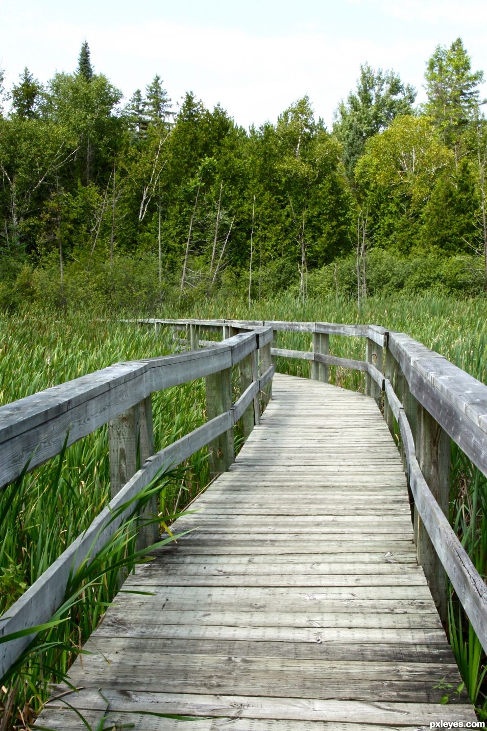 Boardwalk