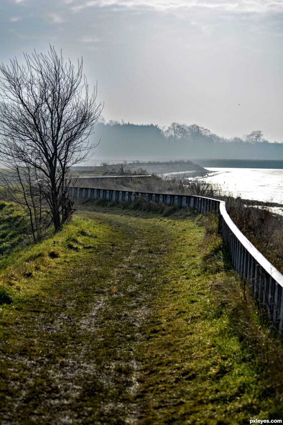 Muddy Path