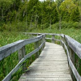 Boardwalk