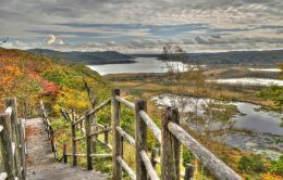 Autumnal Path