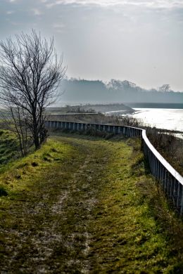 Muddy Path