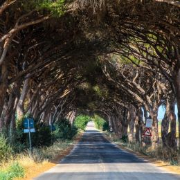 Maremma