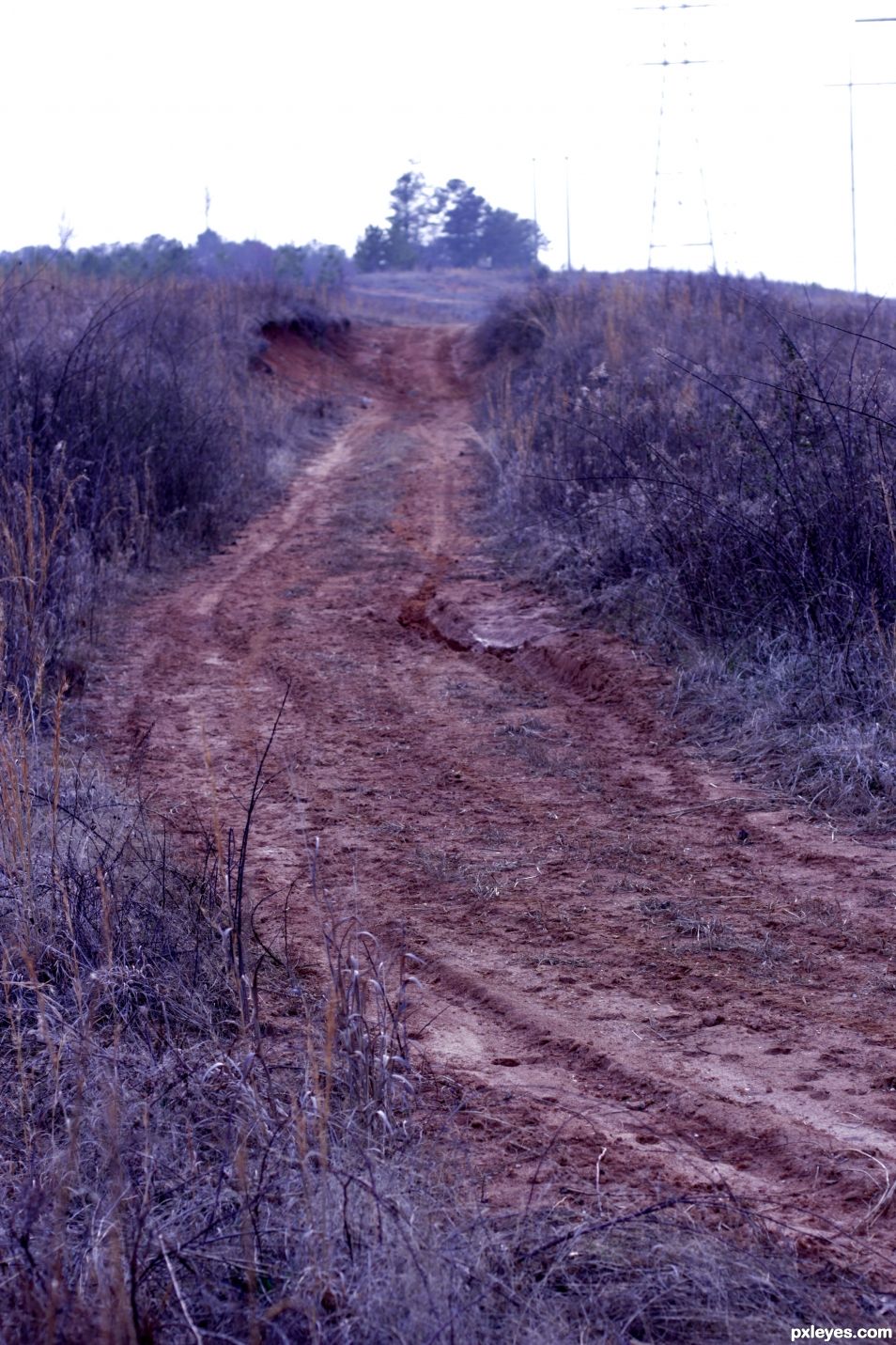 Dirt path 