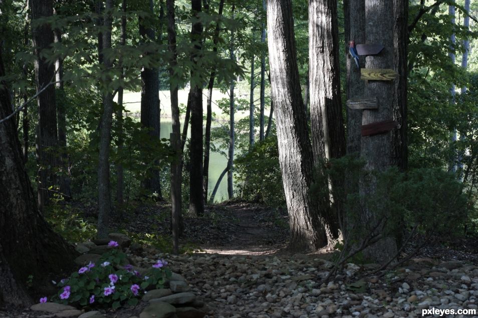 Lake path