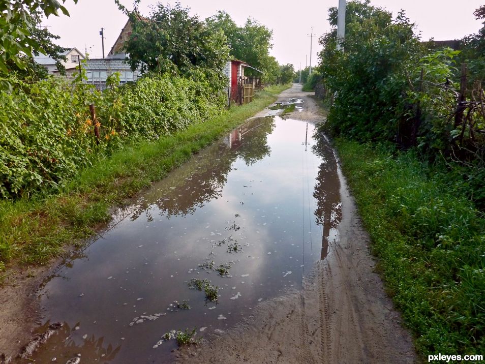 Farm road after rain