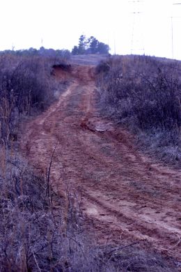 Dirt path 