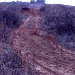 Dirt path  Picture