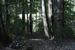 Lake path