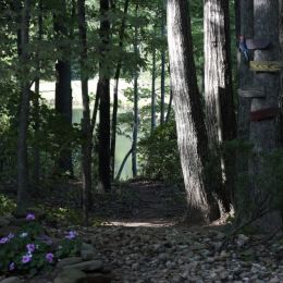 Lake path Picture