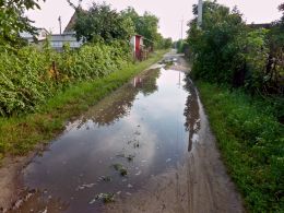 Farm road after rain