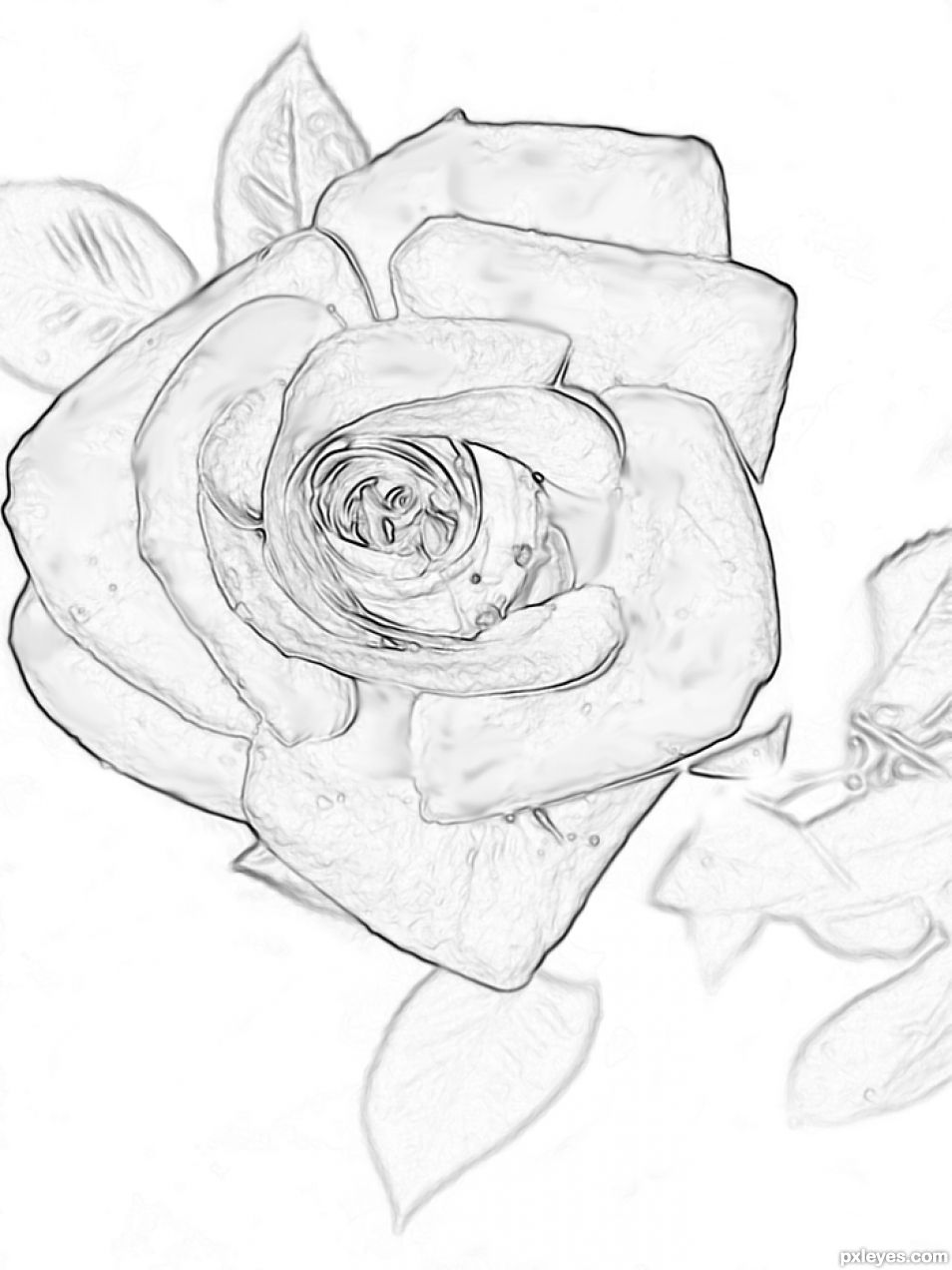 Creation of Autumn Rose: Step 2