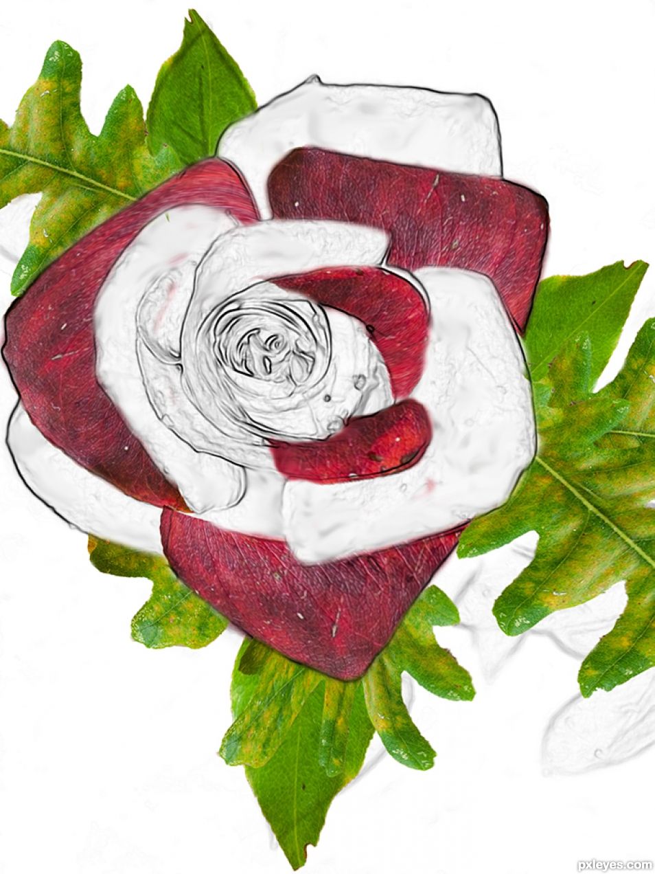 Creation of Autumn Rose: Step 4