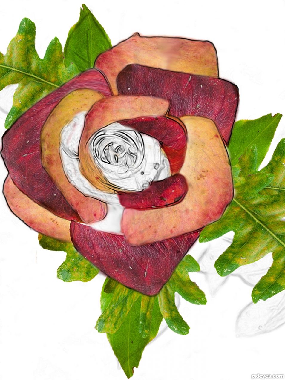 Creation of Autumn Rose: Step 5