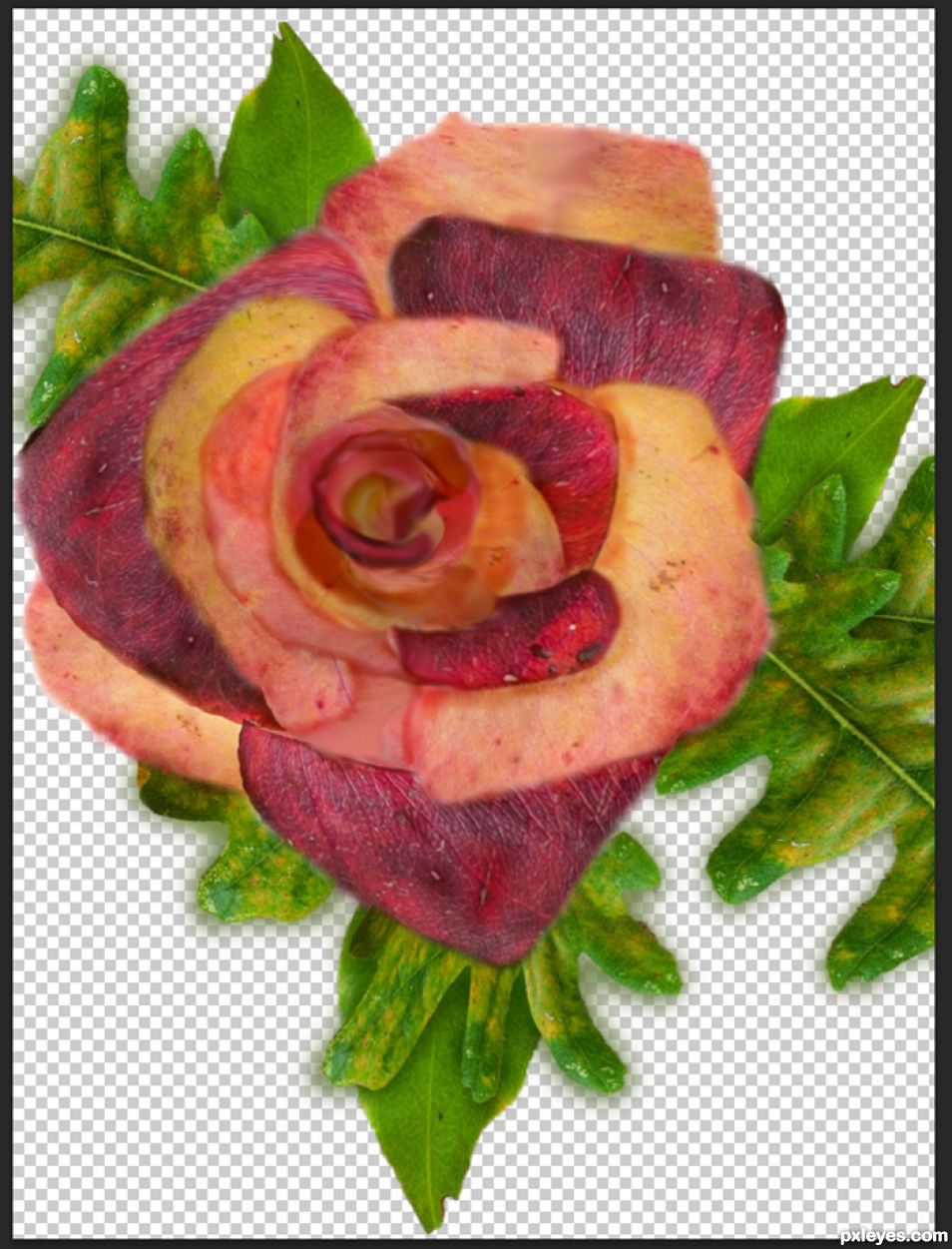 Creation of Autumn Rose: Step 6