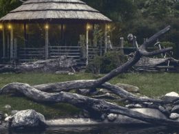 Night Zoo