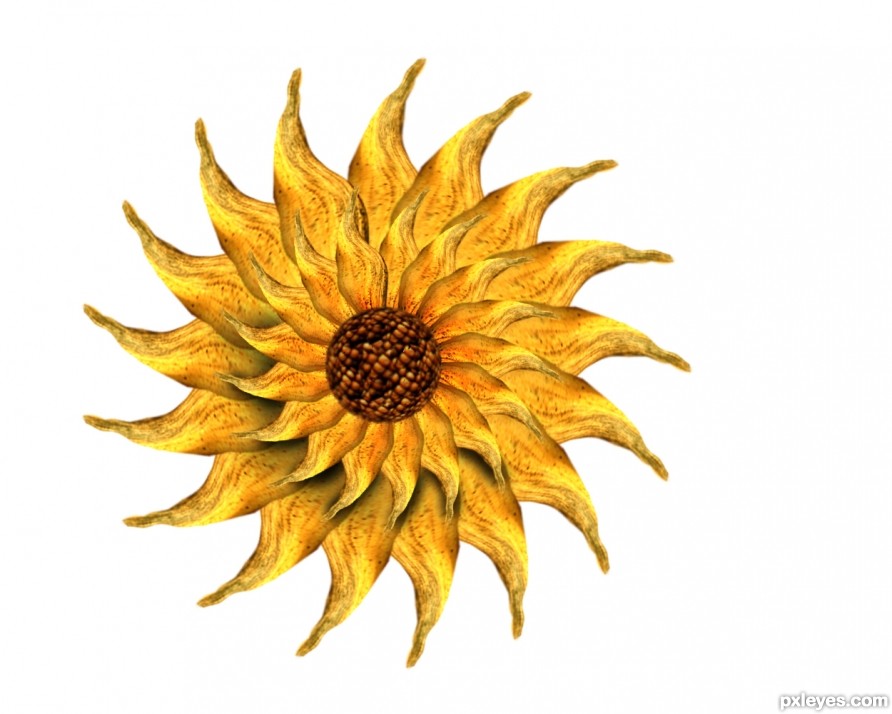Creation of Sunflowers: Step 4