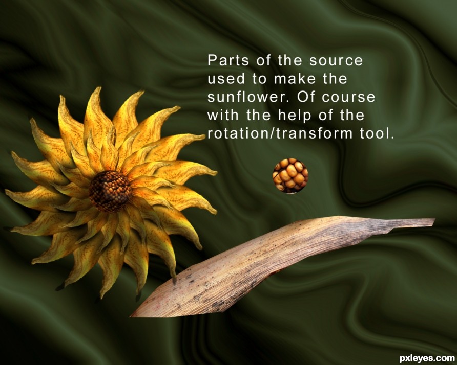 Creation of Sunflowers: Step 5