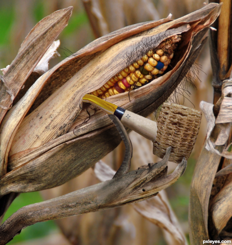 Creation of Smoked Corn: Step 4