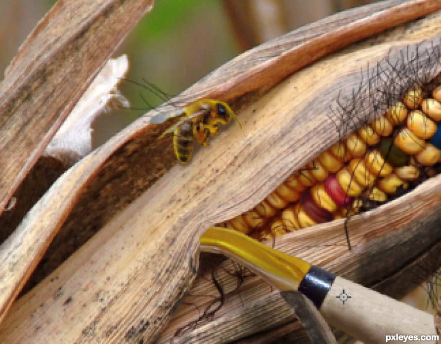 Creation of Smoked Corn: Step 5