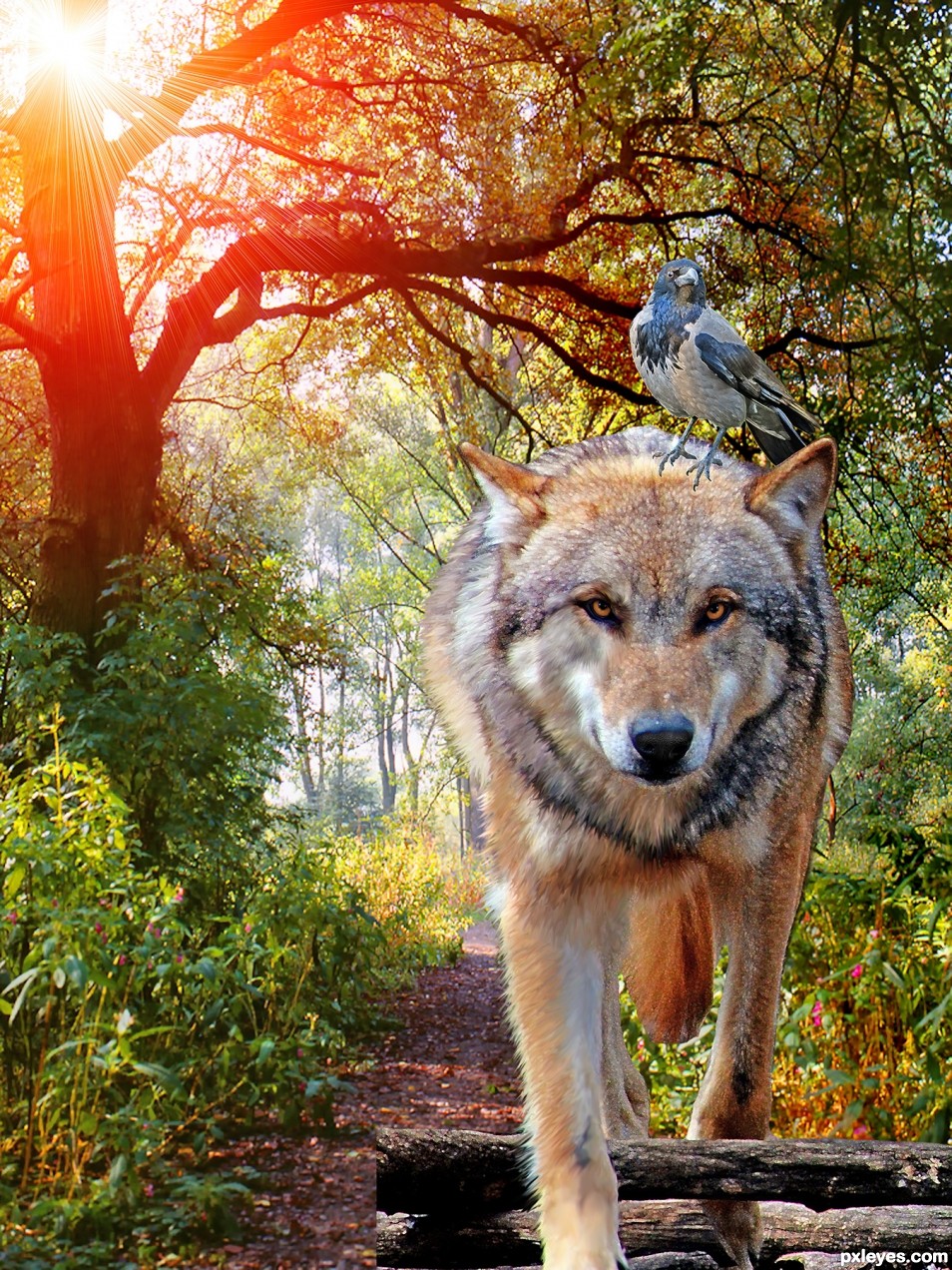Creation of The Big Bad Wolf: Step 6