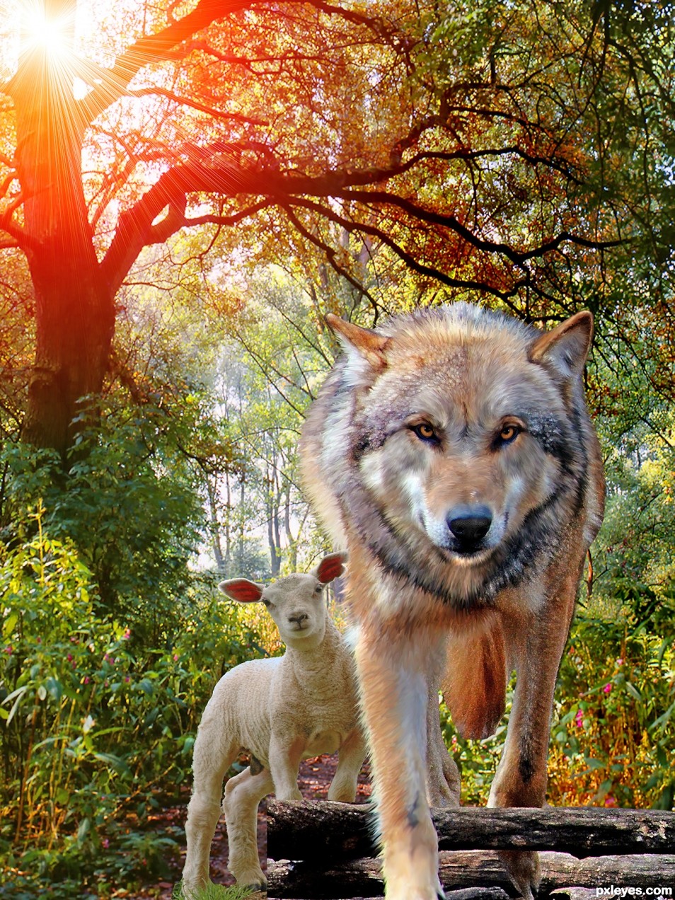 Creation of The Big Bad Wolf: Step 7