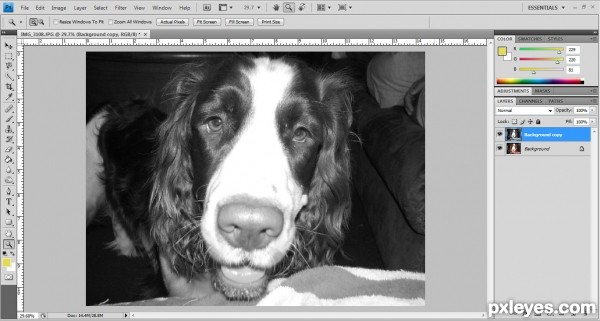 Creation of Close up: Step 1
