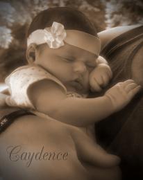 Caydence