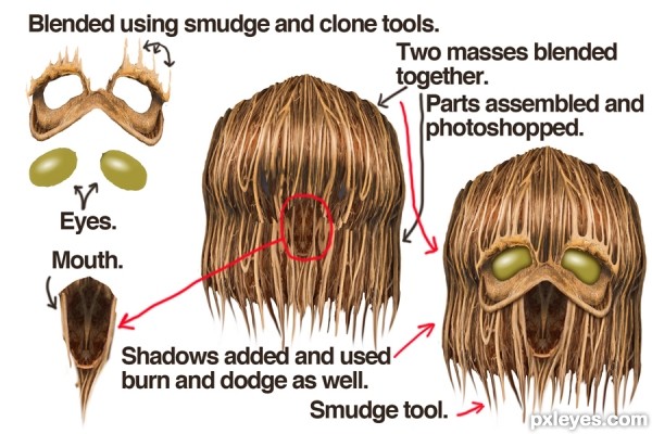Creation of Swamp Creature: Step 2