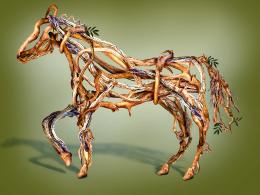 Roots Horse