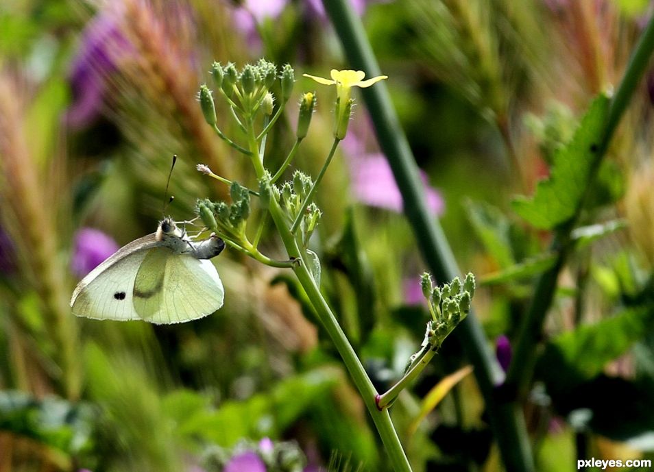 Springtime