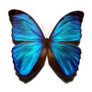 ephemeral photography contest