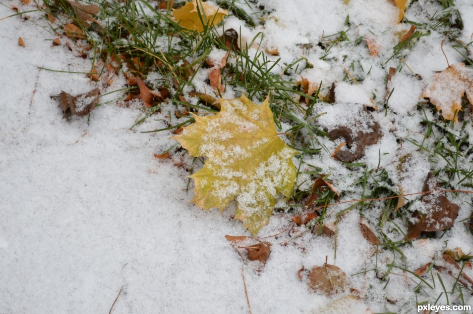 First snow