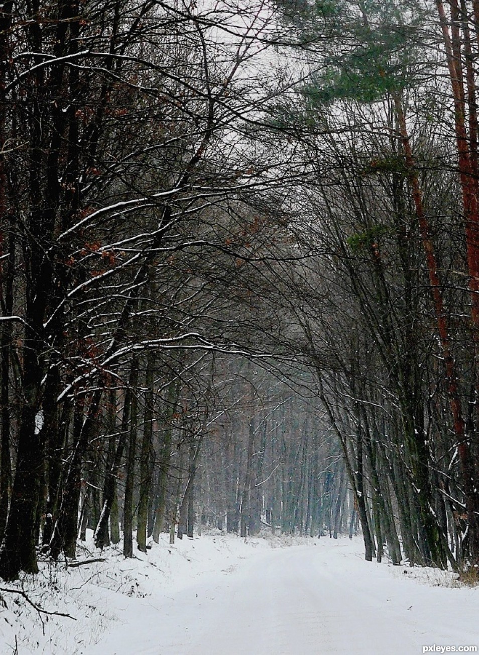 winter arch