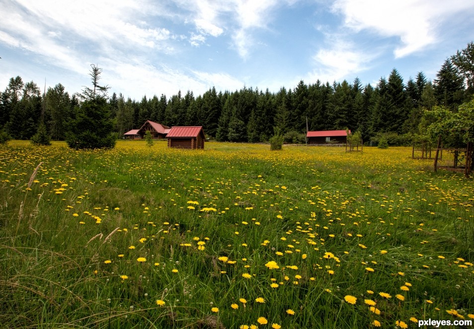 Springtime in the Country