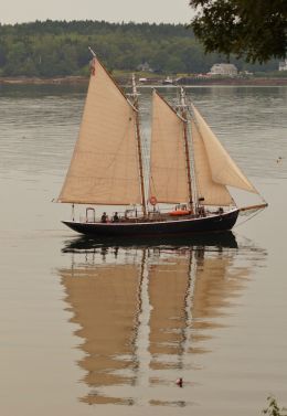 Four sails on the still day